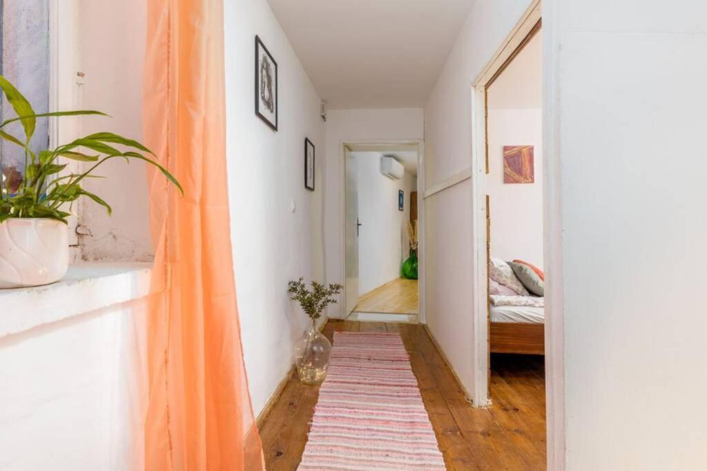Divšići Casa Di Pietra Mateliciヴィラ エクステリア 写真